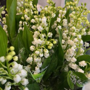 Un brin de Muguet comme porte bonheur